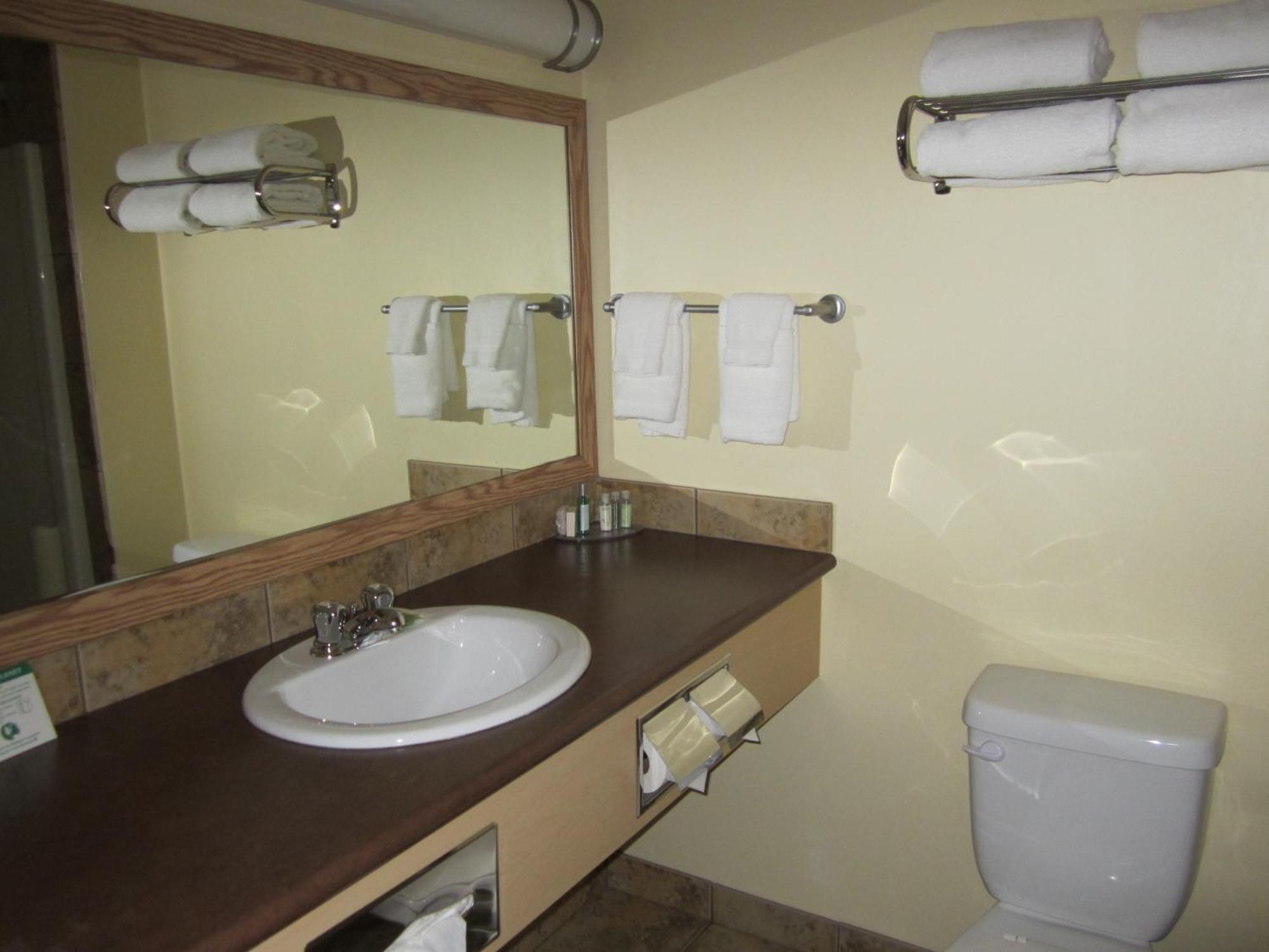 Trend Mountain Hotel & Conference Centre Tumbler Ridge Habitación foto