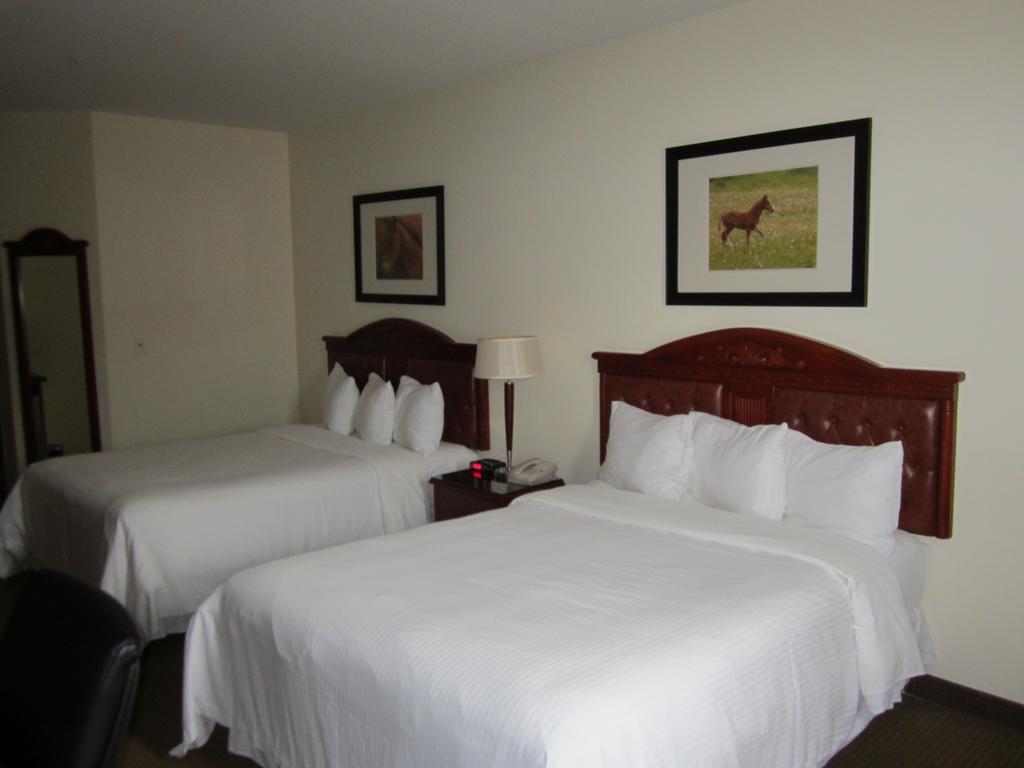 Trend Mountain Hotel & Conference Centre Tumbler Ridge Habitación foto