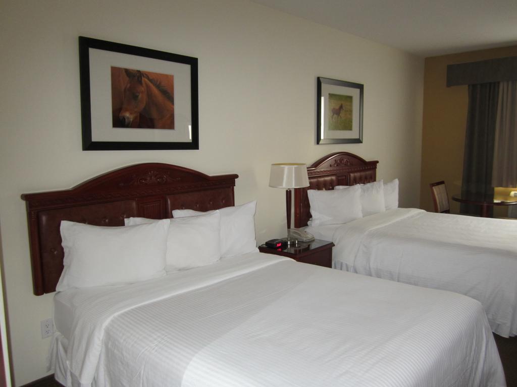 Trend Mountain Hotel & Conference Centre Tumbler Ridge Habitación foto